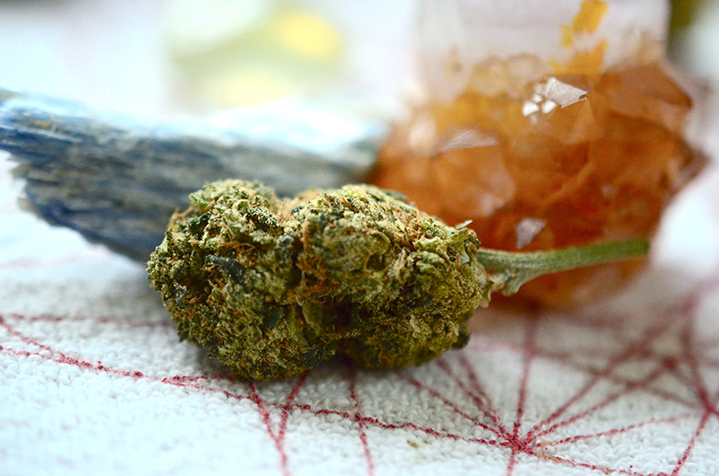 Cannabis flower with amber concentrate beside it.